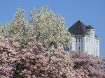 Watertoren